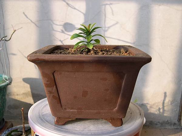 20130216.JPG
