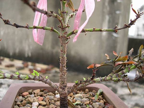 20140427__1.JPG