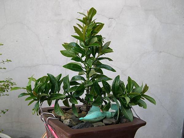 20130907.JPG