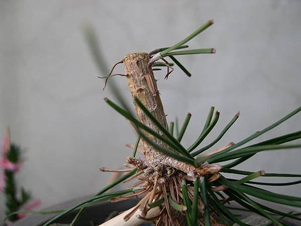 20140131__2.JPG