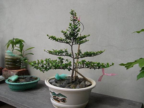 20130507.JPG