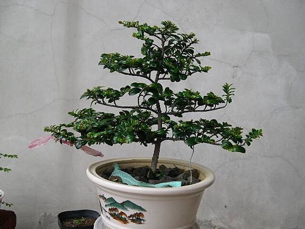 20140525.JPG