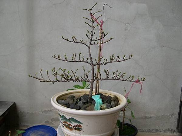 20130616.JPG