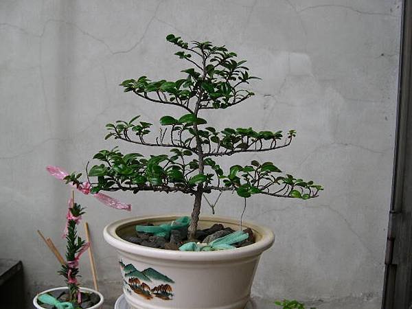 20140209.JPG