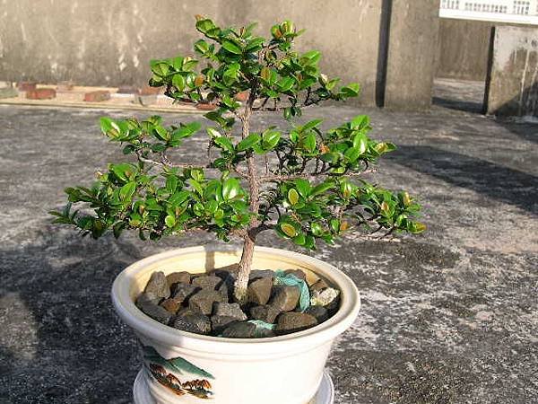 20140626.JPG