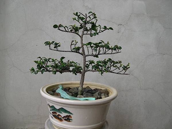 20140526.JPG