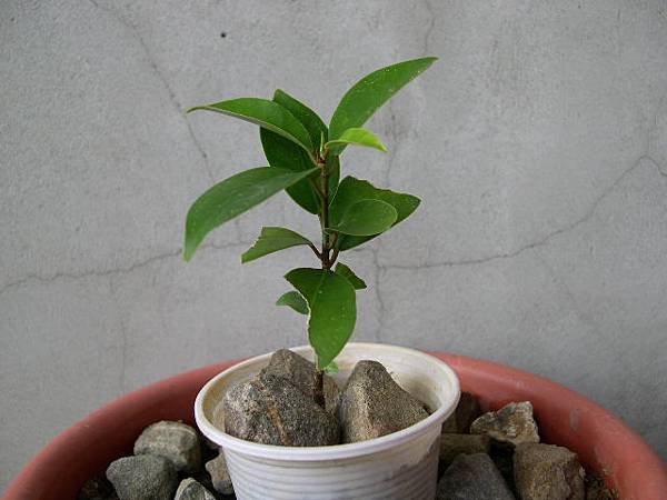 20170715__1.JPG