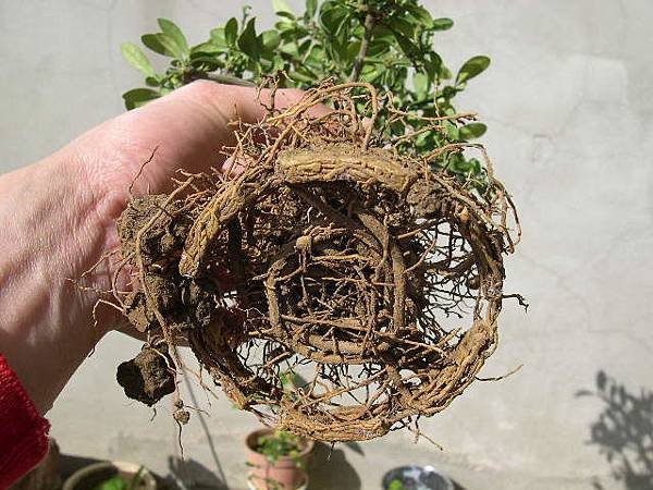20190304__1.JPG