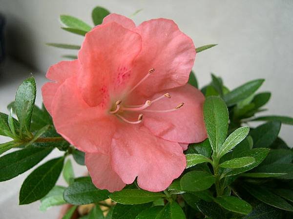 20220513__1.JPG