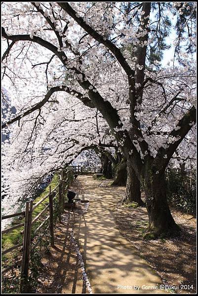 福井城跡 - 08.JPG