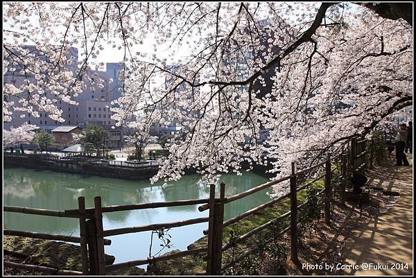 福井城跡 - 09.JPG