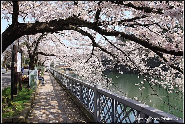 福井城跡 - 11.JPG