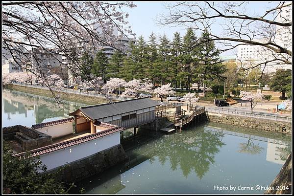 福井城跡 - 16.JPG