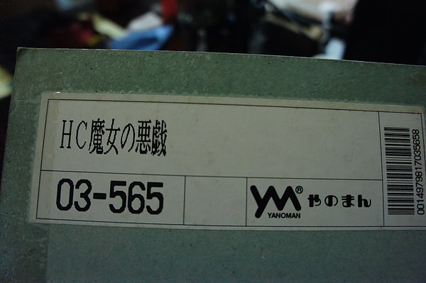DSC02295.JPG