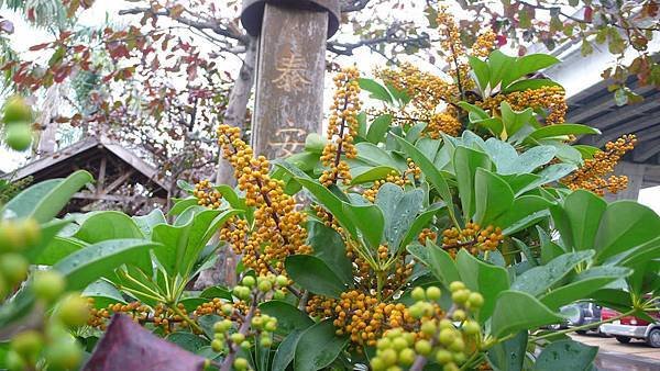 泰安鐵道園區