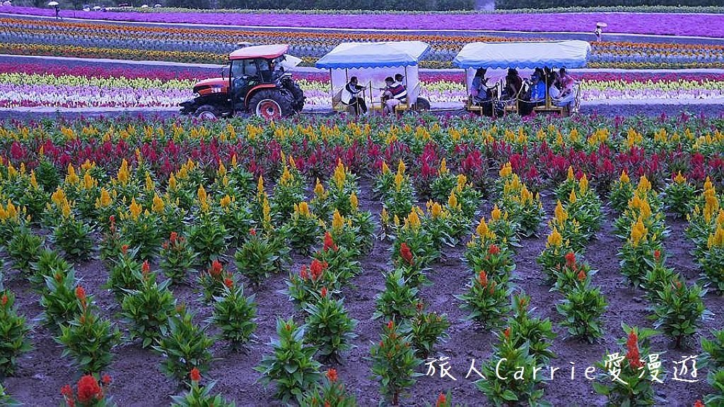 04-6.jpg - 【日本北海道】富良野薰衣草‧美瑛之丘‧函館小樽‧登別溫泉‧定山溪溫泉