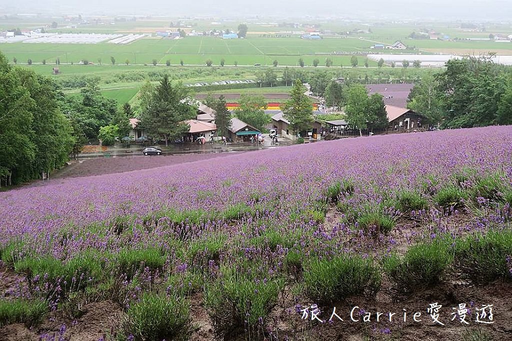 04-13.jpg - 【日本北海道】富良野薰衣草‧美瑛之丘‧函館小樽‧登別溫泉‧定山溪溫泉