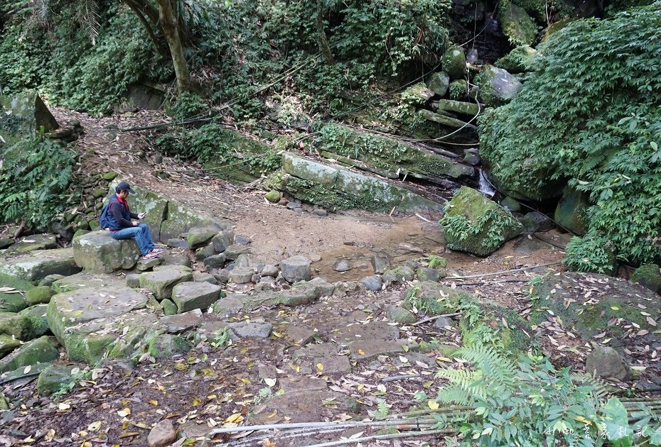 P04.jpg