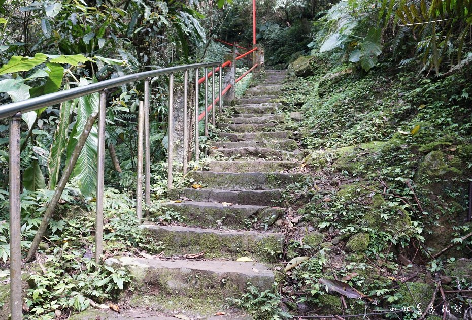 P05.jpg