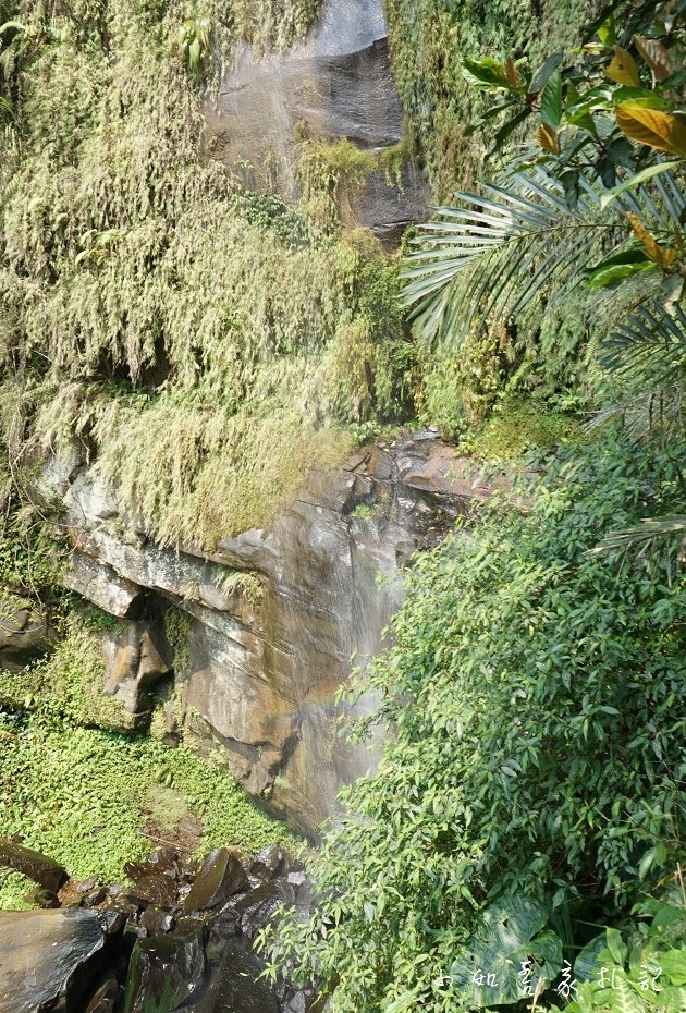 P13.jpg