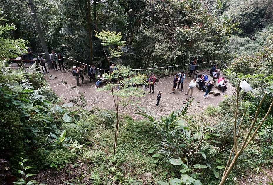 P22.jpg