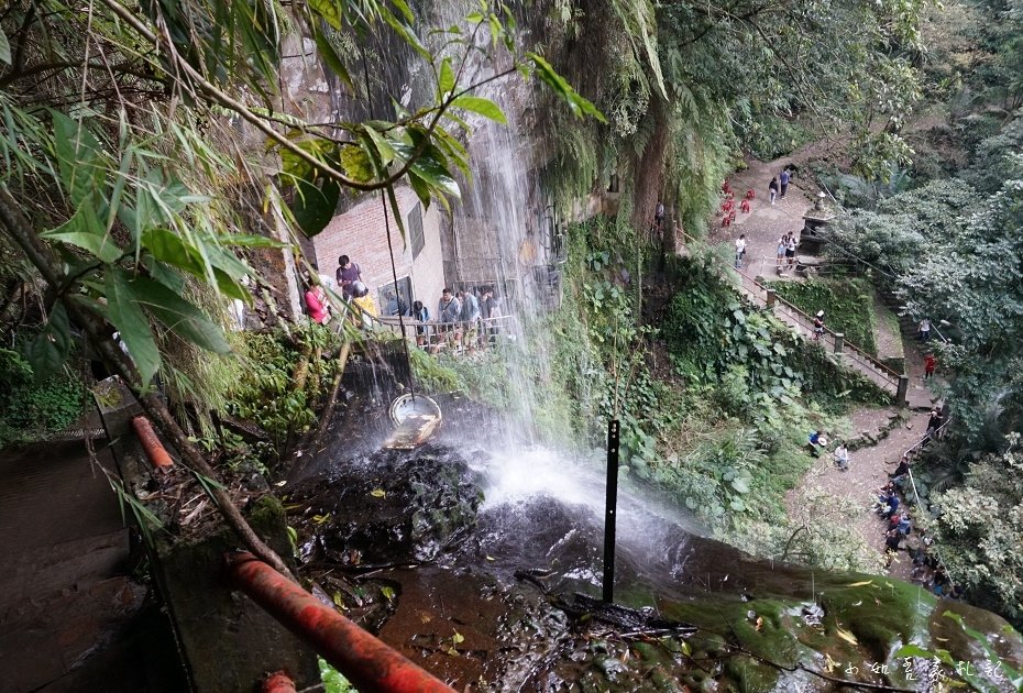P37.jpg