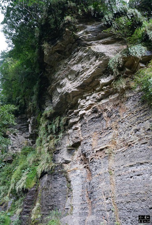 P20.jpg