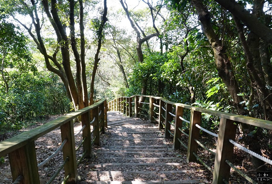 P33.jpg