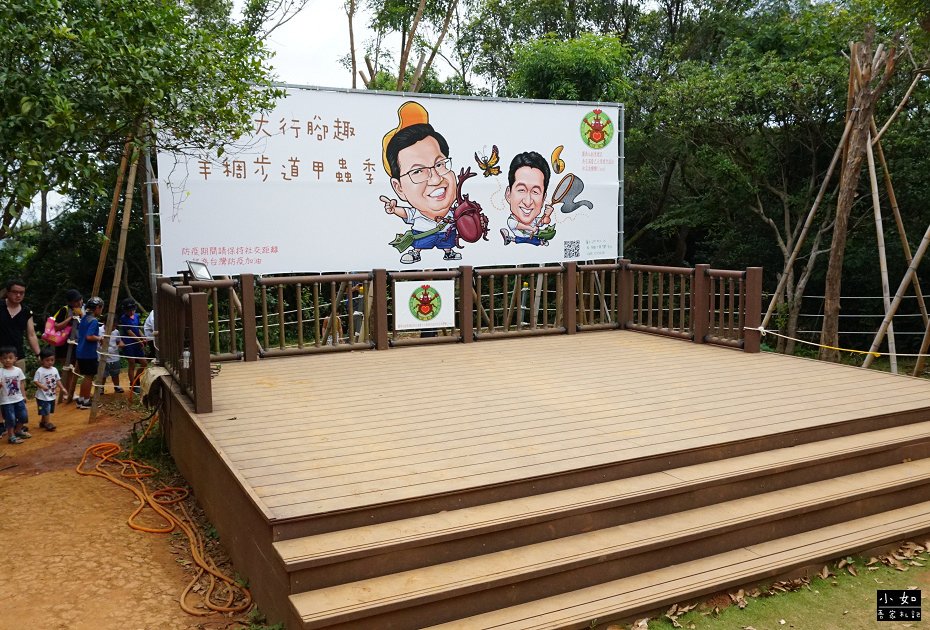 P10.jpg