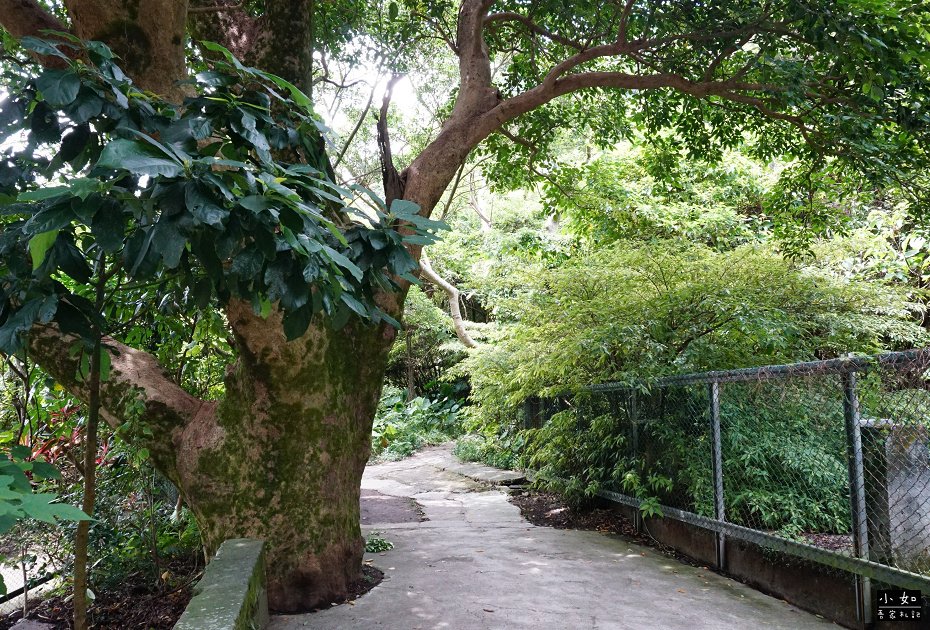 P35.jpg
