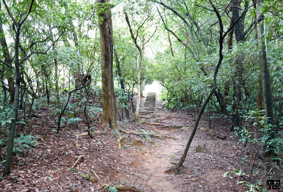 P38.jpg
