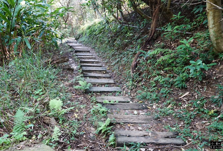P31.jpg