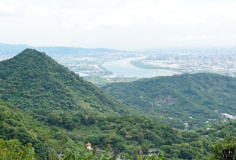 P19.jpg