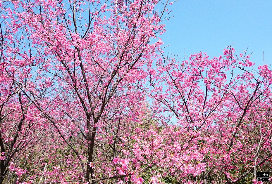 P06.jpg