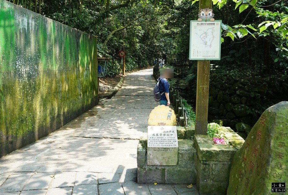 P18.jpg