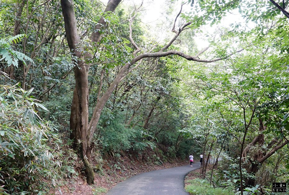 P16.jpg
