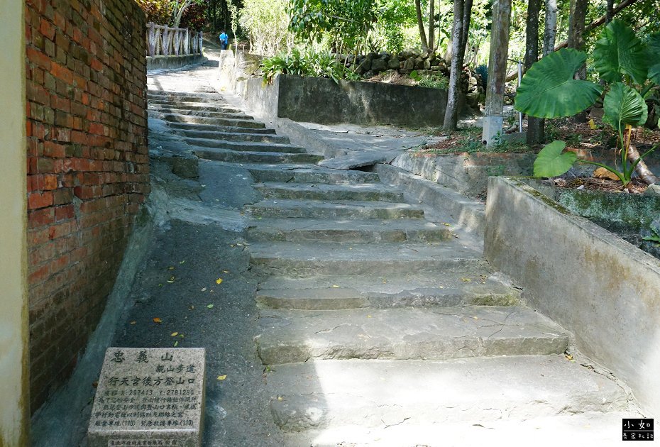 P01.jpg