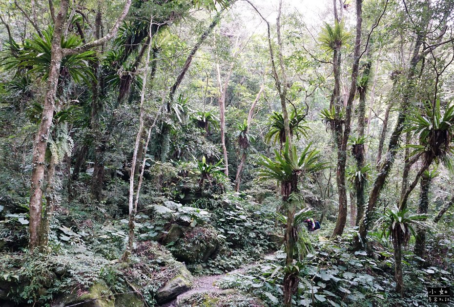 P09.jpg