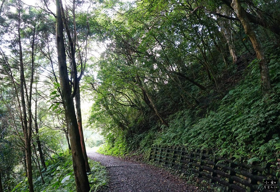 【宜蘭抹茶山】聖母登山步道,起霧中的抹茶山,壯麗山景,心得分