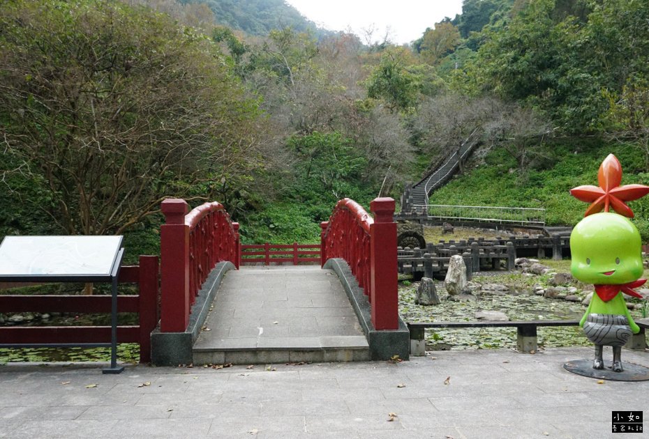 【大溪景點】石門水庫楓葉,近12月底的楓葉樹,小拱橋,這處看