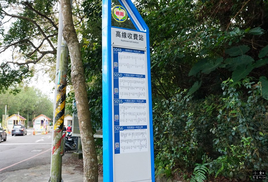 【大溪景點】石門水庫楓葉,近12月底的楓葉樹,小拱橋,這處看