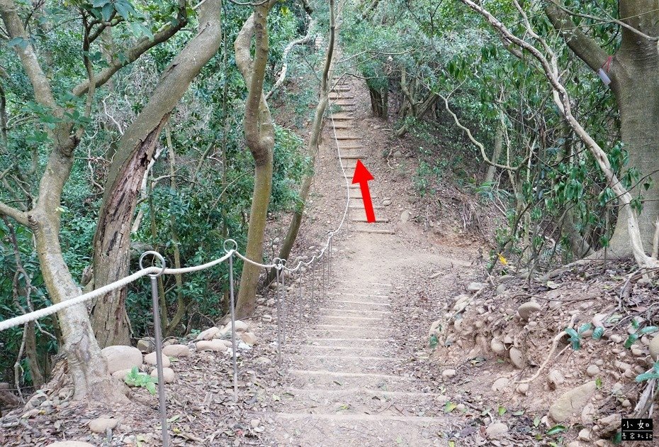 【新埔步道】文山步道,犁頭山步道,o型走,圓木棧道,三角點,