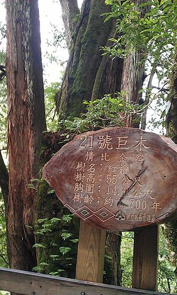 IMAG0246