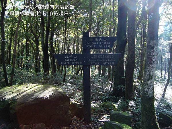 DSC02194