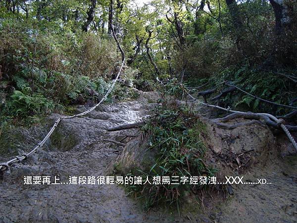 DSC02236