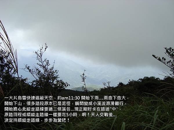 DSC02248