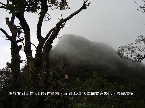 DSC02240