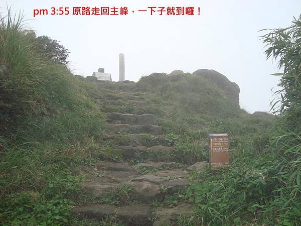 DSC02366