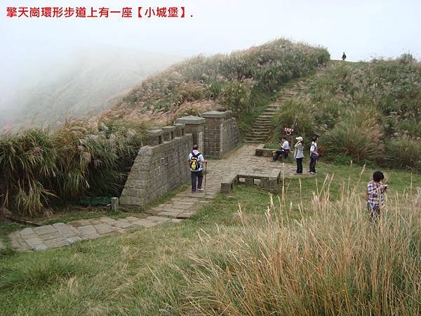 DSC03108