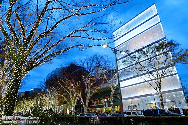 DSCF2183-raw.jpg